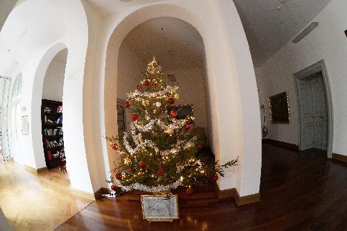 L'albero simbolo del Natale allestito nell'area Presidenza del Palazzo Regione a Trieste è un abete proveniente dalla foresta di Primosio (Paluzza) e compreso tra quelli abbattuti dal maltempo di fine ottobre scorso